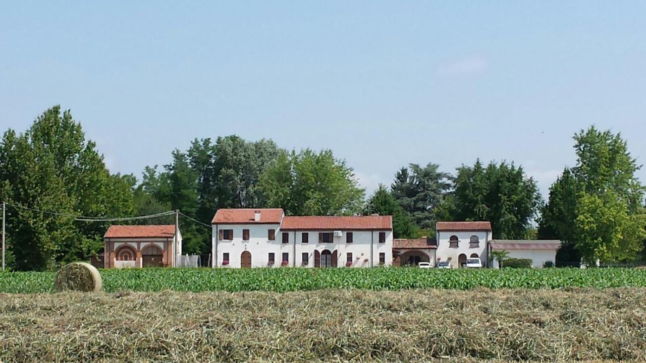 לינה וארוחת בוקר Roncoferraro La Casa Delle Rondini מראה חיצוני תמונה